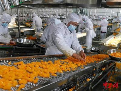 湖北宜昌 柑橘加工企業(yè)生產(chǎn)忙，助力農(nóng)產(chǎn)品增值