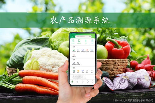 揭開農(nóng)產(chǎn)品溯源系統(tǒng)的神秘面紗 守護(hù)餐桌上的每一份信任